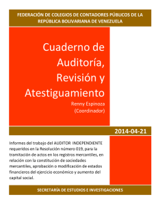 cuaderno de auditoria, revisión y atestiguamiento