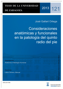 Consideraciones anatómicas y funcionales en la patología del