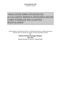analogos simplificados de alcaloides isbencilisoquinolinicos