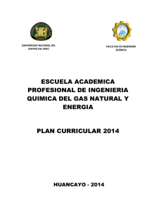 PLAN CURRICULAR DE LA FACULTAD DE INGENIERÍA QUÍMICA