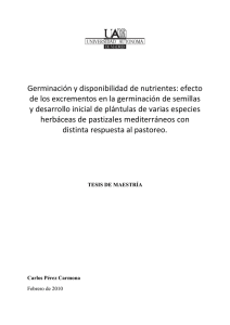 Germinación y disponibilidad de nutrientes