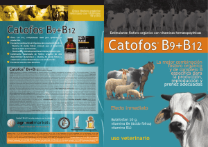 Catofos B9+B12 - Agrovet Market