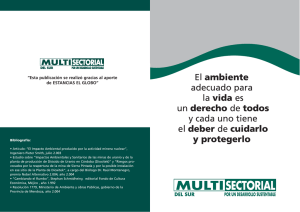 Informacion General - Multisectorial Del Sur