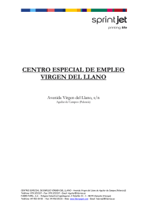 CENTRO ESPECIAL DE EMPLEO VIRGEN DEL LLANO