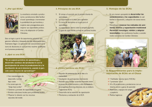 ECAs Escuelas de campo de agricultores en el Chaco