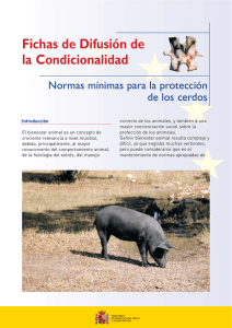 Ficha de protección de los cerdos