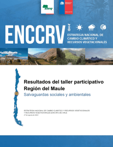 Resultados del taller participativo Región del Maule