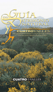 PDF - Cuatro Valles
