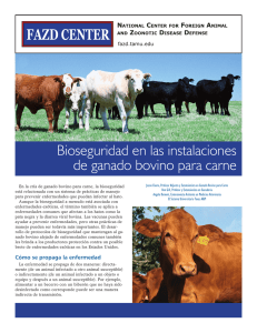 Bioseguridad en las instalaciones de ganado bovino