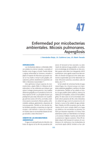 Enfermedad por micobacterias ambientales. Micosis pulmonares