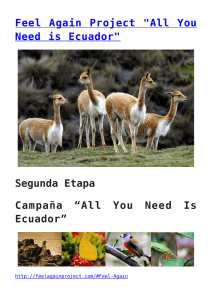 Feel Again Project "All You Need is Ecuador"