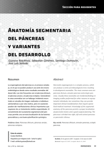 Anatomía segmentaria del páncreas y variantes del desarrollo