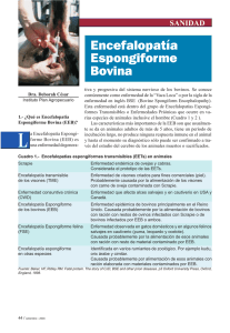 Encefalopatía Espongiforme Bovina