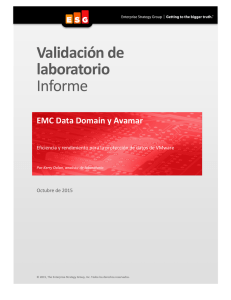 EMC Data Domain y Avamar