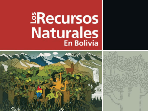 Los Recursos Naturales en Bolivia