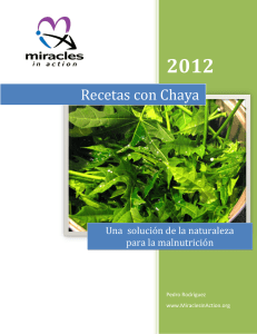 Recetas con Chaya - Miracles in Action