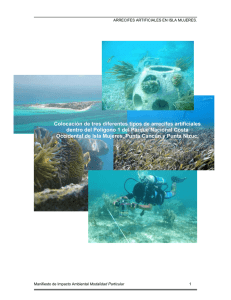 Colocación de tres diferentes tipos de arrecifes - sinat