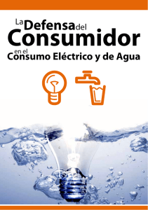 La Defensa del Consumidor en el Consumo Eléctrico y de Agua