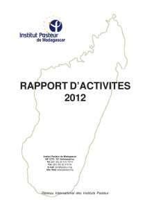 Rapport d`activités 2012