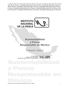 Sustentabilidad y Pesca Responsable en México