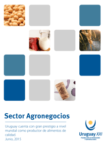 informe-agronegocios-junio-2015