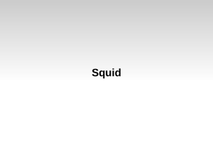 Transparencias sobre Squid