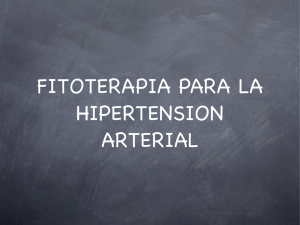 fitoterapia e hipertension