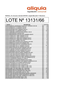 LOTE Nº 13131/66