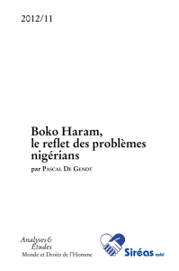 Boko Haram, le reflet des problèmes nigérians