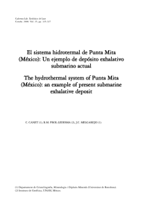El sistema hidrotermal de Punta Mita (México): Un ejemplo