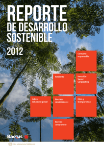 Reporte Desarrollo Sostenible 2012