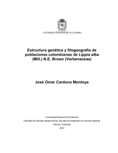 (Mill.) NE Brown (Verbenaceae) - Universidad Nacional de Colombia