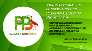 visión integral de conservación en paisajes palmeros