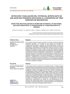 detección y evaluación del potencial nitrificante de aislados