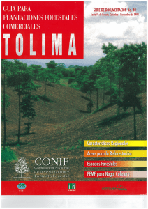 Guia para Plantaciones Forestales Comerciales: Tolima