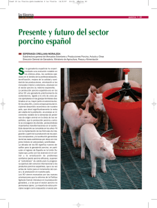 Presente y futuro del sector porcino español