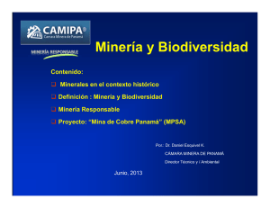Minería y Biodiversidad