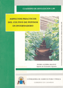Aspectos prácticos del cultivo de pepinos en invernadero