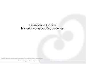 resumen del ganoderma lucidum, sus propiedades y beneficios