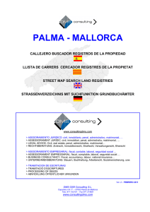 palma - DMS Consulting