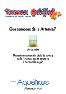 Que conoces de la Artemia?