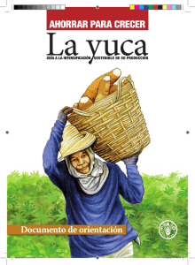 Ahorrar para crecer: la Yuca. Documento de orientación