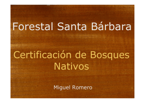 Forestal Santa Bárbara