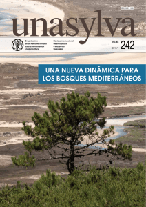 Unasylva 242: Una nueva dinámica para los bosques mediterráneos