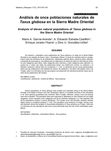 Análisis de once poblaciones naturales de Taxus globosa en la
