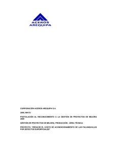 Informe de postulación - Centro de Desarrollo Industrial