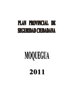 plan provincial de seguridad de moquegua