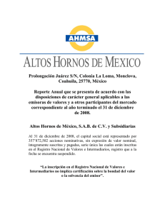 Informe Anual 2008 - Altos Hornos de Mexico S.A.B. de C.V.