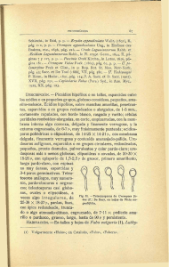 Schlecht, in Ibid, p. p. — Erysibe appejidiculata lymorphus Peck et
