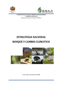ESTRATEGIA NACIONAL BOSQUE Y CAMBIO CLIMATICO